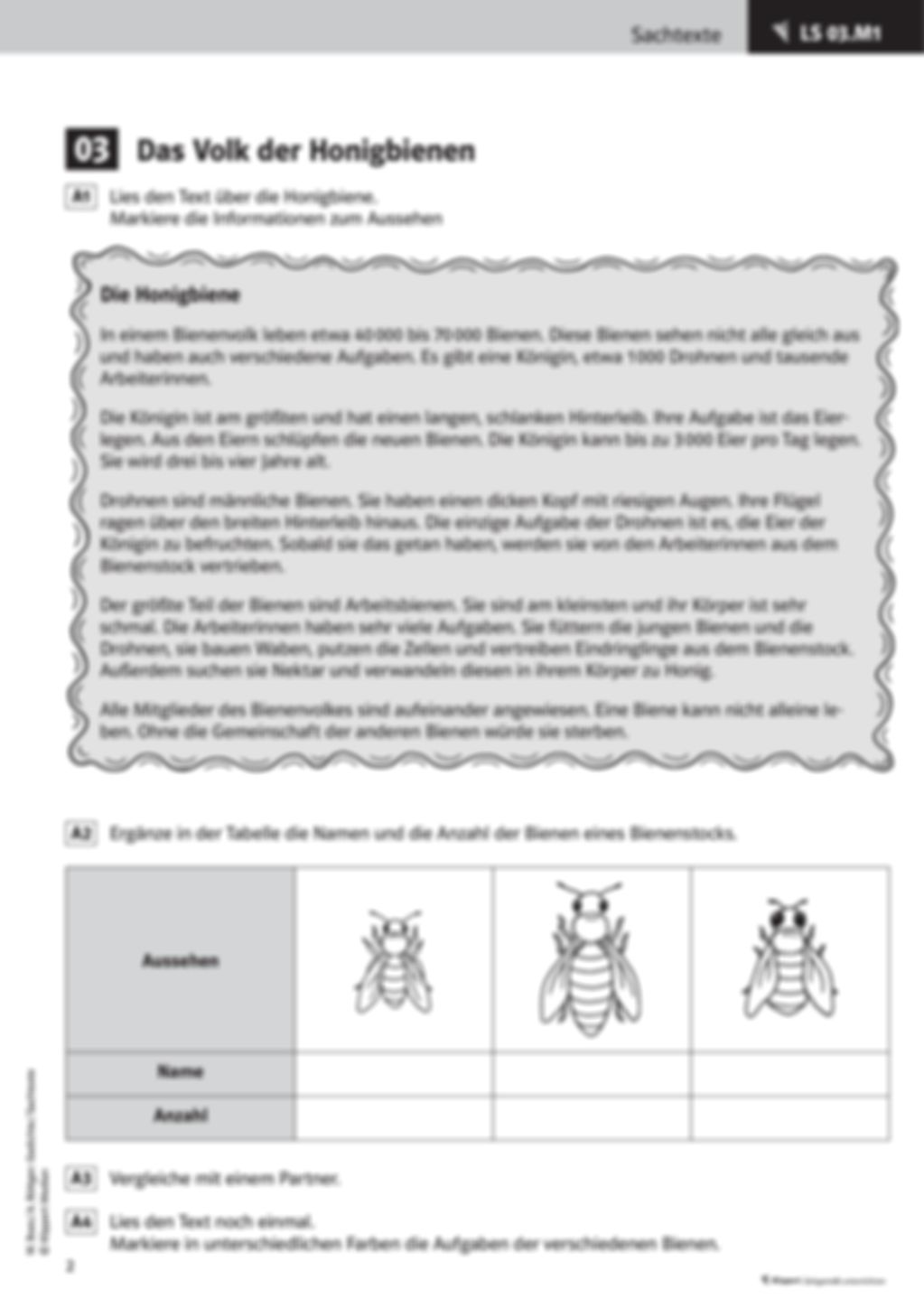 Fertige Unterrichtsstunde zum Thema Sachtexte: Bienen Preview 4