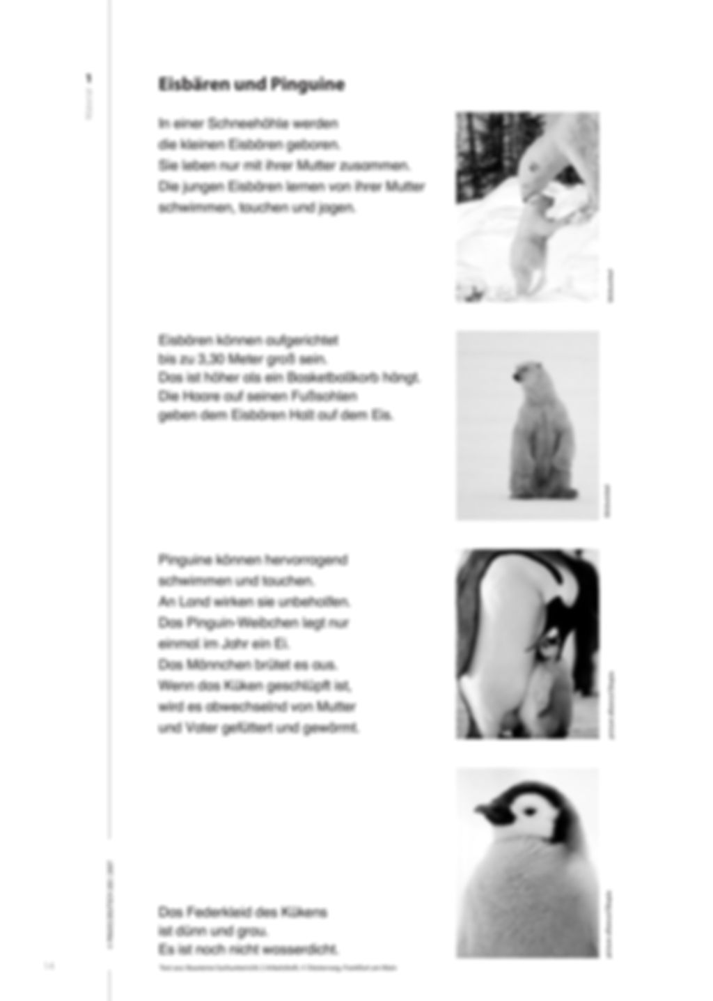 Tiere aus Arktis und Antarktis - Kooperatives Lernen im Deutschunterricht der Eingangsstufe Preview 3